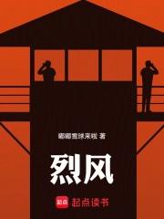 烈风之结界像