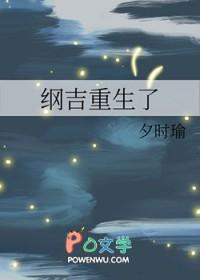 纲吉为主角的综漫
