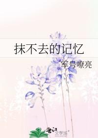 抹不去的回忆700字作文