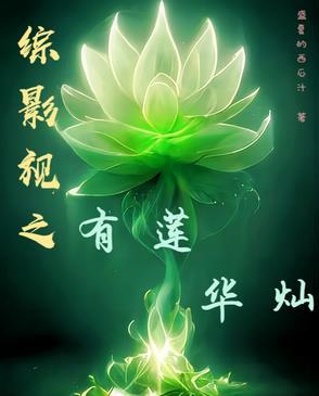 综影视内含宝莲灯