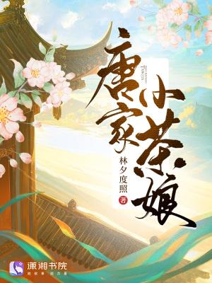 女主叫唐小茶
