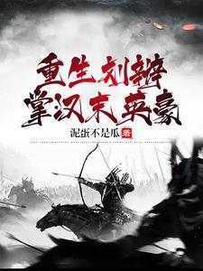 重生三国之刘辩兴汉