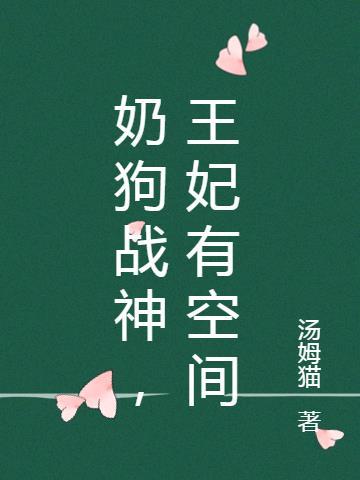 战神王爷小奶娃当王妃