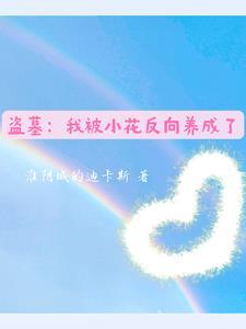 我被盗墓了免费阅读