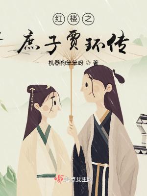 红楼之庶子贾环传txt