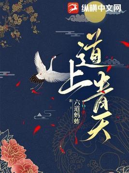 道上什么意思?