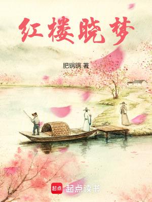 红楼梦小戏骨百度百科
