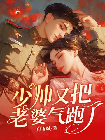 少帅又把老婆气跑了短剧免费观看