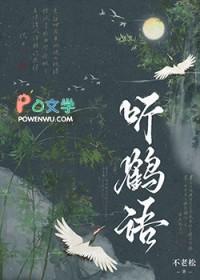 真爱真爱