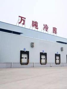 重生六零买四合院