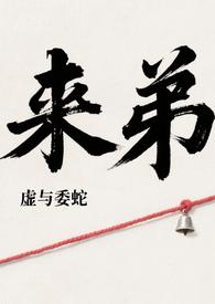 宝可梦之放下冠军的我来到