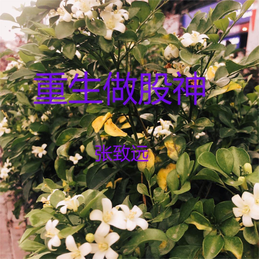 刚穿越就被迫进入战场